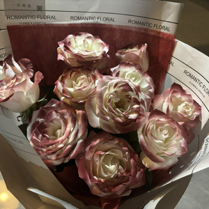 精品国产乱码久久
